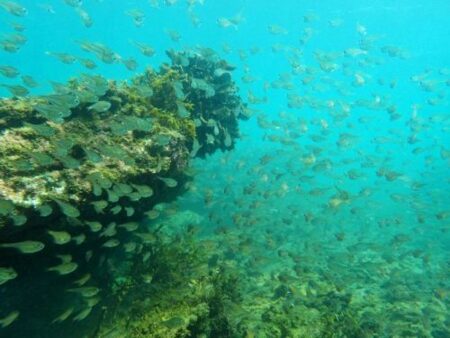 大賀海岸まで徒歩約2分！シュノーケル可！